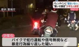 狂飙警察爆料视频大全下载,揭秘执法一线真实瞬间