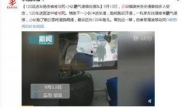 云南小伙爆料视频大全,揭秘云南风土人情与生活点滴